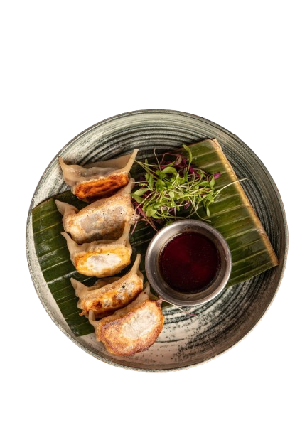 Pan Fried Mushroom Dumpling